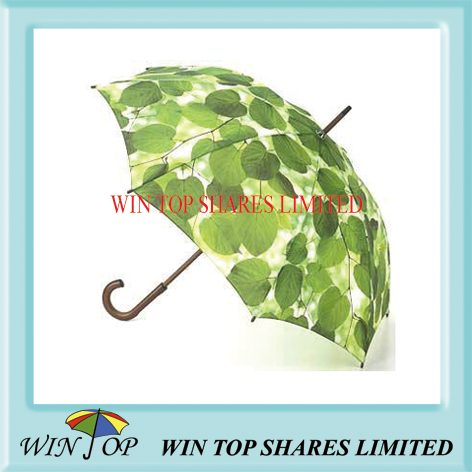 Advertising wooden handle umbrella